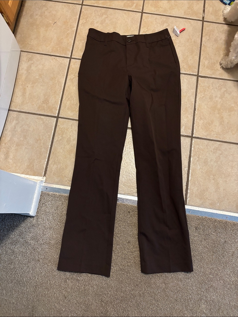 St. John's Bay Dark Brown Women's Pants